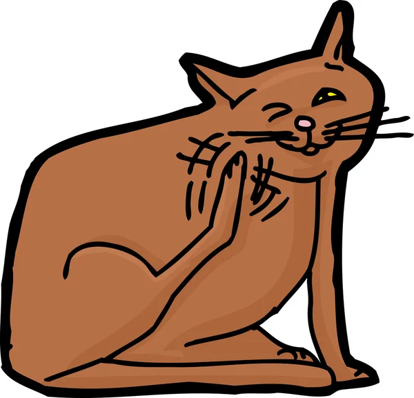 棕色只猫在挠自己 — 图库矢量图片