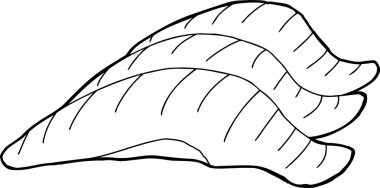 Anahat karikatür çiğ karides