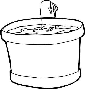 Aşırı sulanması fide özetlenen