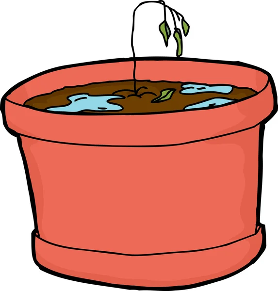 过度浇水的幼苗 — 图库矢量图片