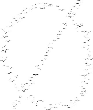 Minuscule O kuş oluşumu