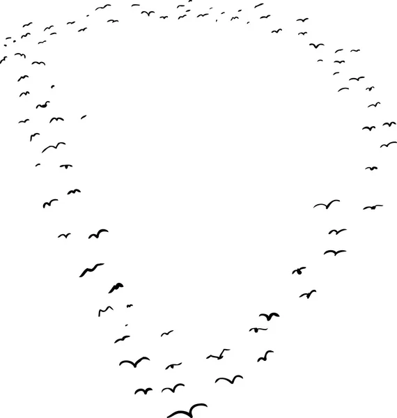 Formation d'oiseaux en D — Image vectorielle