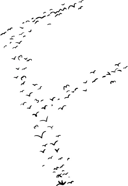 Formation d'oiseaux en F — Image vectorielle