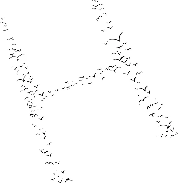 Bird Formation In H — Stock Vector