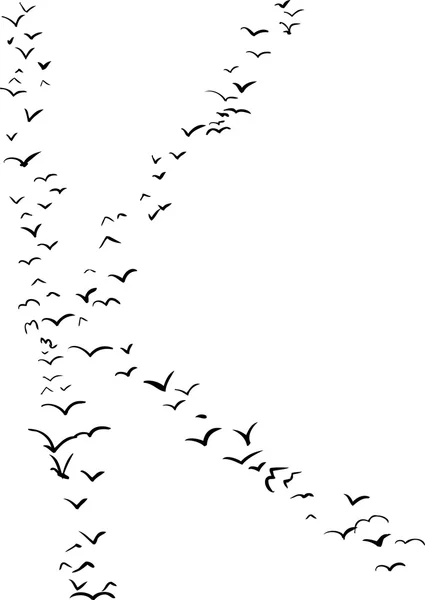 Формування птахів у K — стоковий вектор