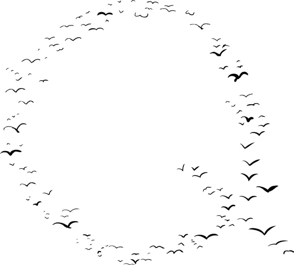 Formation d'oiseaux en Q — Image vectorielle