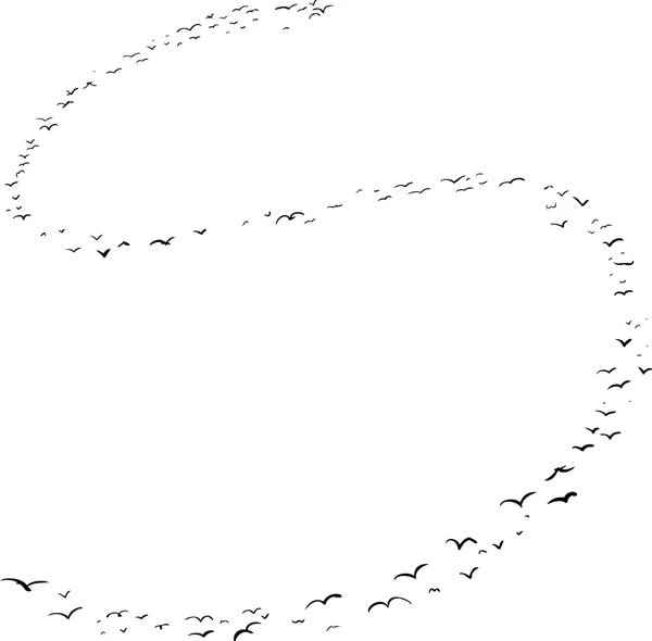 Formation d'oiseaux en S — Image vectorielle