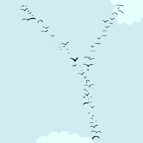 鸟在 Y 的形成 — 图库矢量图片