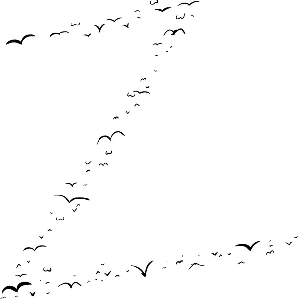 Bird Formation In Z — Stock Vector