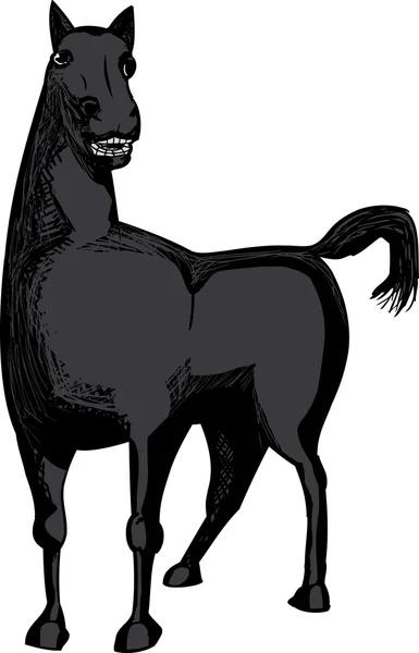Enkele zwarte paard — Stockvector