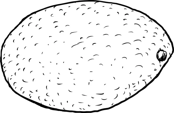 Singolo Avocado Outline — Vettoriale Stock