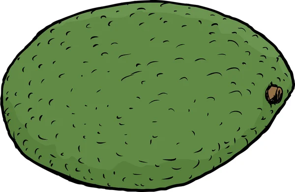 Изолированный авокадо — стоковый вектор