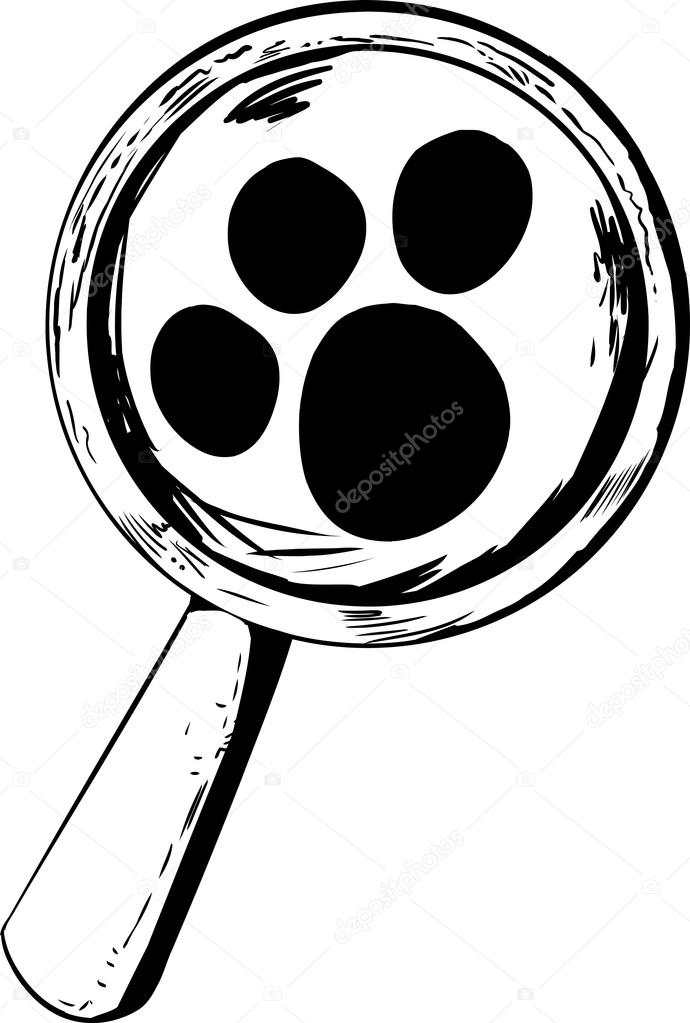 Paw Print in Magnifying Glass