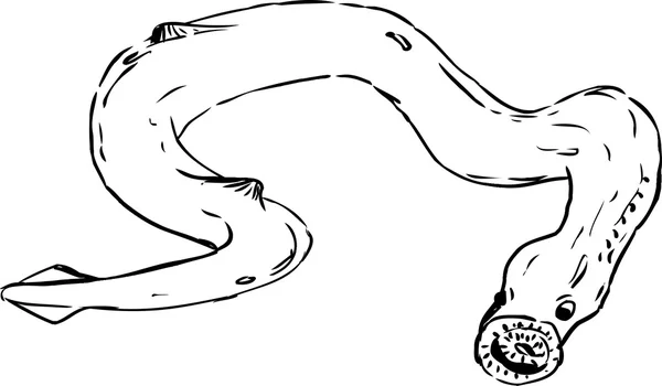 一概述七鳃鳗 — 图库矢量图片