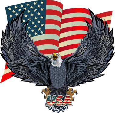 Amerikan bayraklı Amerikan kartalı