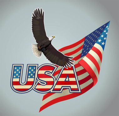 Amerikan bayraklı Amerikan kartalı