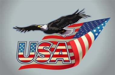 Amerikan bayraklı Amerikan kartalı