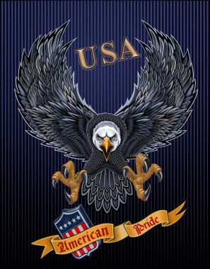 Amerikan bayraklı Amerikan kartalı