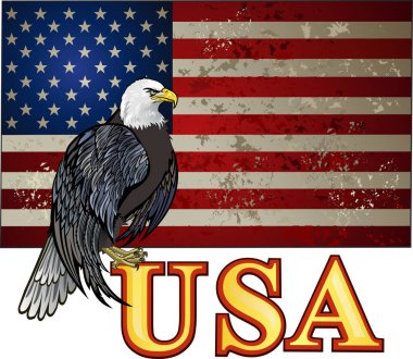 Amerikan bayraklı Amerikan kartalı