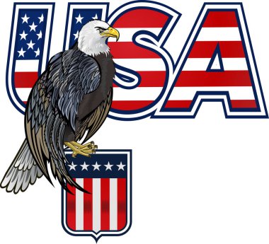 Amerikan bayraklı Amerikan kartalı