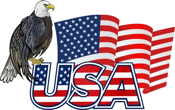 Amerikan bayraklı Amerikan kartalı