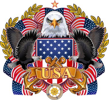 Amerikan bayraklı Amerikan kartalı