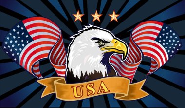 Amerikan bayraklı Amerikan kartalı