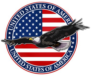 Amerikan bayraklı Amerikan kartalı