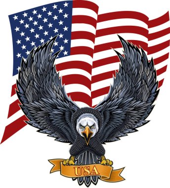 Amerikan bayraklı Amerikan kartalı
