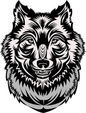 Kurt kafası. Bir kurdun ağzının yırtıcı sırıtışı. Dövme çizimi