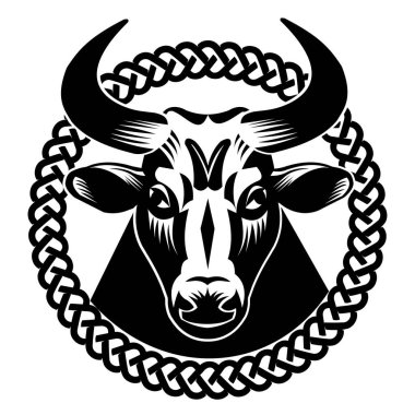 Siyah bufalo. Güçlü, sağlıklı boğanın bir örneği.