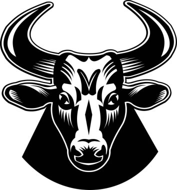 Siyah bufalo. Güçlü, sağlıklı boğanın bir örneği.