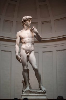 David Michelangelo 'nun Rönesans heykelinin bir başyapıtıdır.