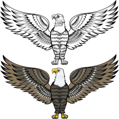 Amerikan Kartalı: Renk ve siyah ve beyaz