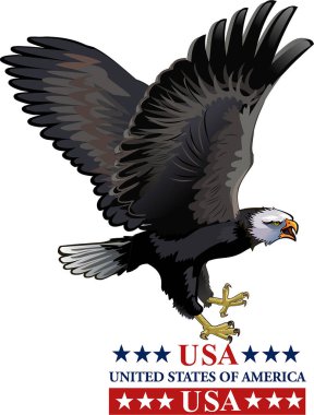 Amerikan kartalı ve bayrağı. ABD sembolü bir kartal.
