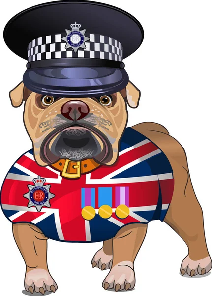 Bulldog Inglês Bandeira Britânica —  Vetores de Stock