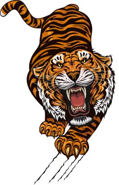 Kaplan Surat. Kılıç dişli kaplan