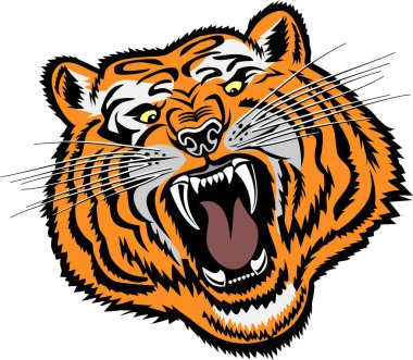 Kaplan Surat. Kılıç dişli kaplan