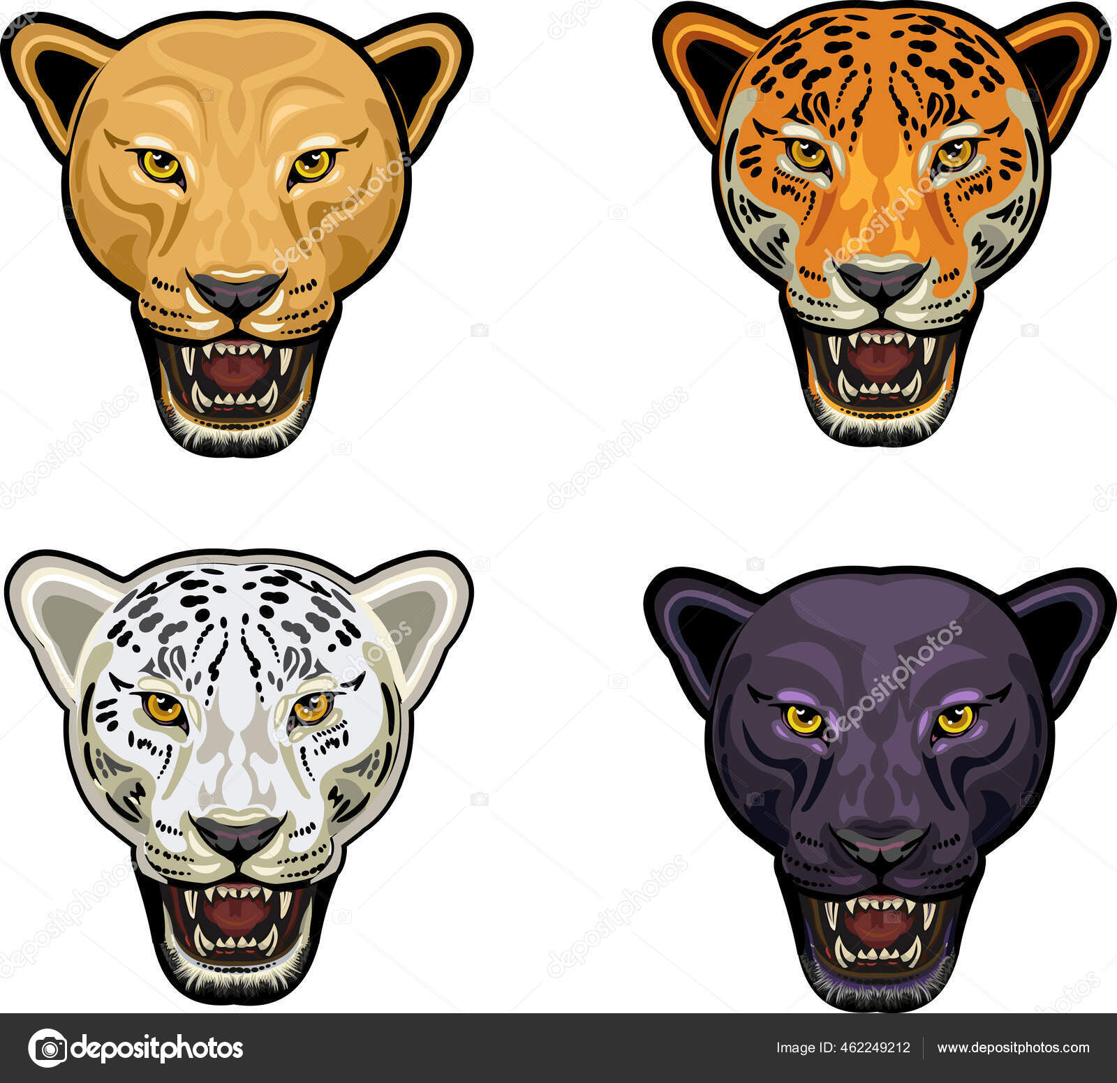 虎头或黑豹美洲豹美洲狮的肖像 图库矢量图像 C Eugeneharnam
