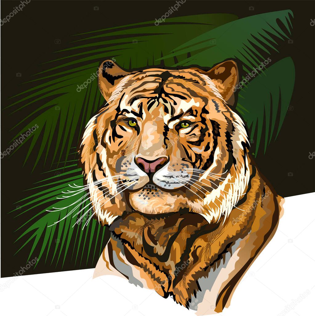 Portrait of a Tiger in forest