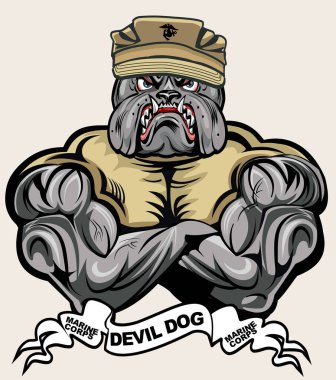 Askeri Bulldog Deniz Piyadeleri Şeytan Köpek 