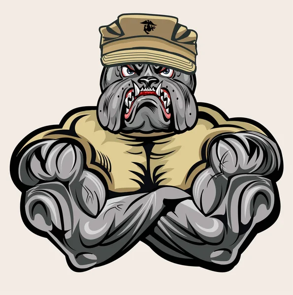 Askeri Bulldog Deniz Piyadeleri Şeytan Köpek 