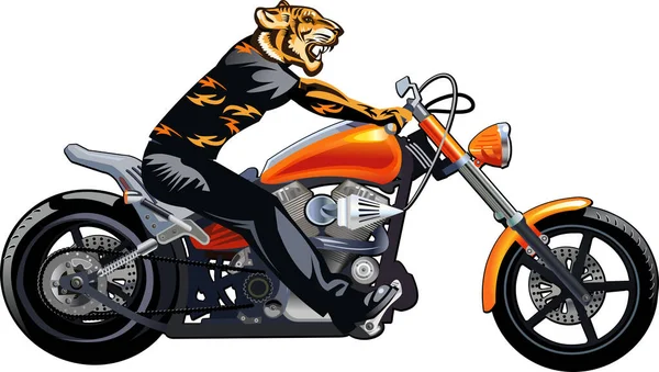 Tiger Auf Dem Motorrad — Stockvektor