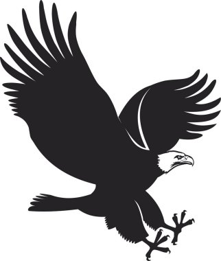 Amerikan Kel Kartalı kanatlı uçan saldırı saldırısı. 