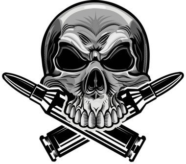 Kafatası ve kartuşların çizimi