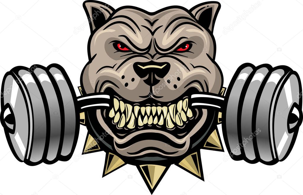 American Bully Dog. Aggressive American amstaff
