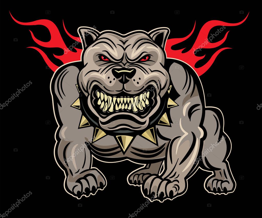 American Bully Dog. Aggressive American amstaff.