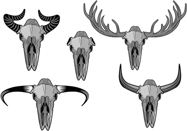 Illustration Skull Horn — Stock Vector