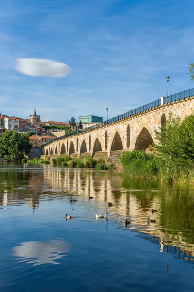 Ponte de pedra sobre o rio Duero. Zamora, Castilla y Leon, Espanha . — Fotografia de Stock