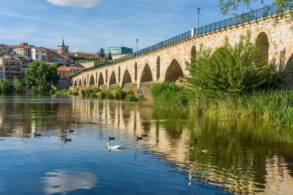 Taş Duero Nehri üzerinde köprü. Zamora, Castilla y Leon, İspanya. — Stok fotoğraf